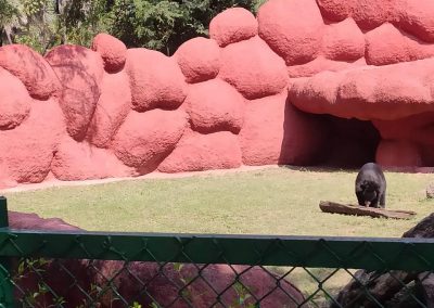 field trip to the Nehru zoological park