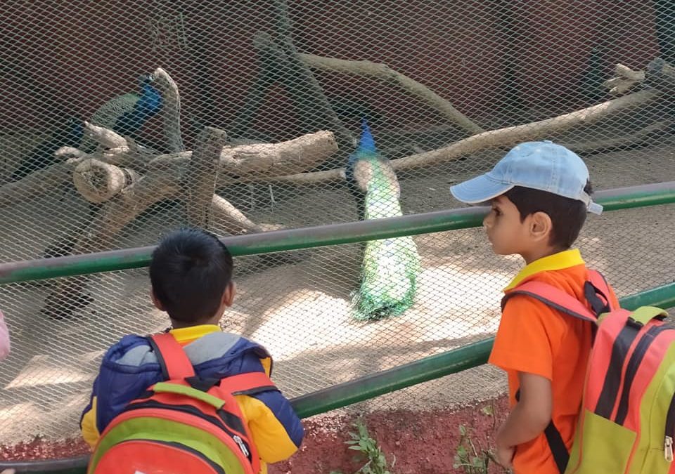 Field trip to the Nehru zoological park